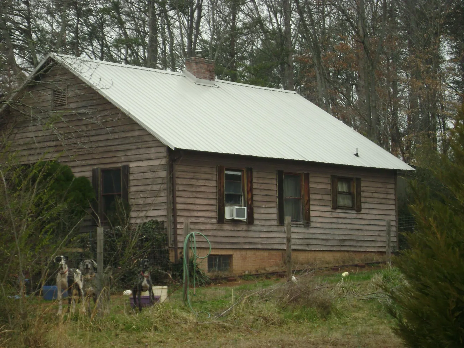 White metal roof on an old wood sided farmhouse, from a Asphalt Shingle Roof Repair job in Petaluma